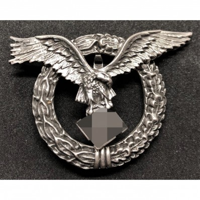 Pilot Badge