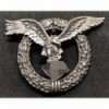 Distintivo Di Pilota