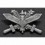 Training in Germany Badge