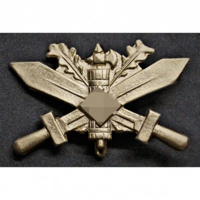 Training in Germany Badge - Officers