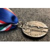Medaille "Zwei Völker ein Krieg"