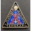 Badge of the Platoon A. Colombo "Temerari" of the Xª MAS
