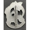 Surface Assault Vehicle Pilot Patent Badge