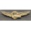 ARN Pilot Badge "Johnson"