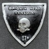 Arm Shield - Venice Black Brigade