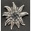 Edelweiss of the SA or SS mountain troops (Bigger Version)