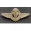 Postwar Italian Paratroopers Badge