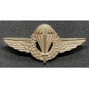Postwar Italian Paratroopers Badge