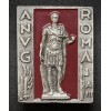ANVG Rom Abzeichen
