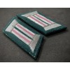 Collar Tabs - Panzertruppen (Pink)