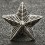 Star for Collar Tabs