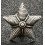 Stelletta per Mostrine - Regio Esercito