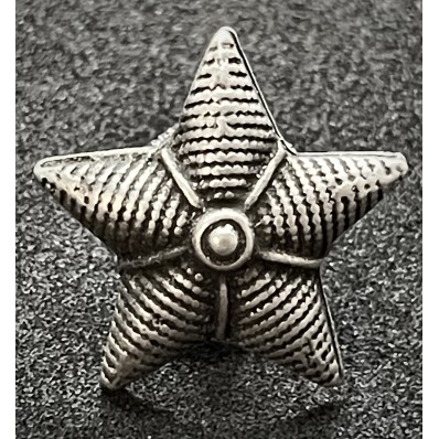 Stelletta per Mostrine - Regio Esercito