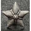 Stelletta per Mostrine - Regio Esercito