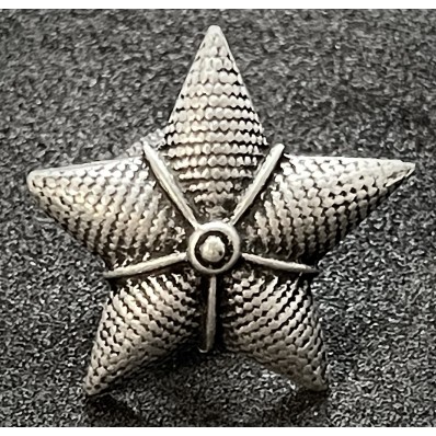 Stern für Kragenspiegel - Königliche Armee für Mantel