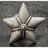 Stern für Kragenspiegel - Königliche Armee für Mantel