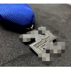 Medaglia Di Lungo Servizio Nelle SS 12 Anni