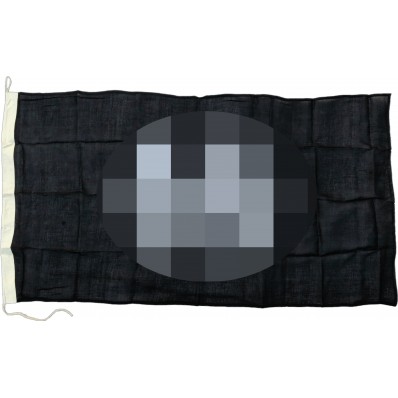Bandiera - Waffen SS (Cotone)