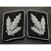 Waffen-SS Kragenspiegel - Brigadeführer