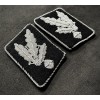 Waffen-SS Collar Tabs - Gruppenführer