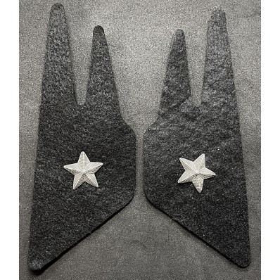 Mostrine del Regio Esercito - PNF