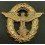 Fregio Da Cappello Della Polizia (Tipo 2, Oro)
