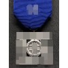 Medaglia Di Lungo Servizio Nelle SS 12 Anni