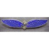 Civil Pilot and Radio Operator Badge (C.E Juncker Berlin SW)
