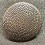Button - Bronze 20mm