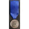 Medaglia Di Lungo Servizio Nelle SS 8 Anni