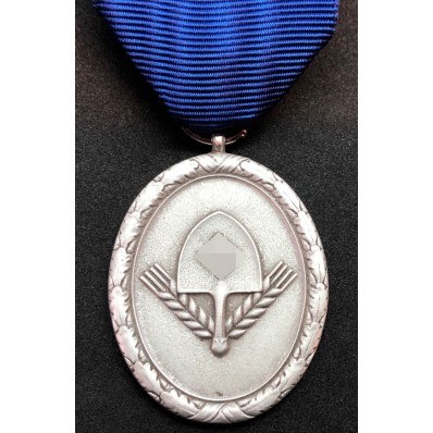 Medaglia di Lungo Servizio nel RAD 2a/3a Classe - 18/12 Anni (Argento)