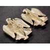 Collar Tabs Badges - Musketeers of the Duce 1st Type or Consul General