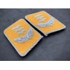 Luftwaffe Kragenspiegel - Hauptmann