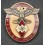 Hitler Jugend Badge of Honor for Deserving Foreigners