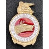 Badge of the "Wolf Battalion" - San Marco Marine Regiment
