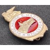 Badge of the "Wolf Battalion" - San Marco Marine Regiment
