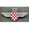 Croatian Air Force Legion Badge (with screw)