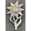 Partisan Edelweiss