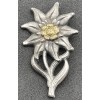 Stella Alpina Edelweiss Partigiana
