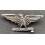G.N.R. badge of RSI