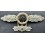 Frontflugspange für Jäger mit Sternanhänger (Gold)