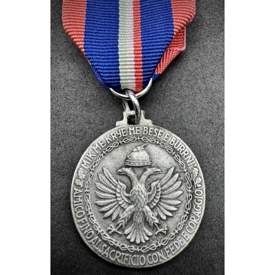 Medaglia commemorativa della 9ª Armata (Argento)