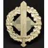 SA-Sportabzeichen (Gold)