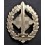 Distintivo Sportivo SA per Feriti di Guerra (Oro)