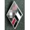 NS-Studentenbund Badge