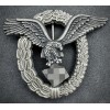 Pilot Badge