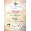 Lettera di Assegnazione Croce al Merito di Guerra di 1ª Classe con Spade - Personalizzato
