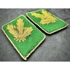 Polizei Collar Tabs - Generalmajor