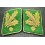 Polizei Collar Tabs - Generalleutnant