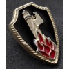 Badge of Honour for "Sansepolcristi"